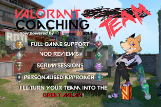be your team coach in valorant console