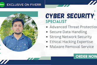run penetration tests to secure web apps and deliver cyber security reports