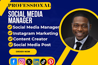 be your social media manager linked in tiktok facebook pinterest instagram