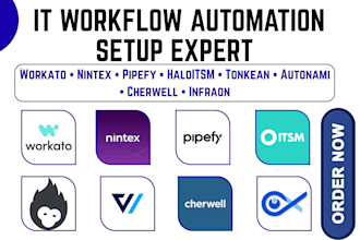 setup workato nintex tonkean autonami pipefy cherwell haloitsm infraon and IT