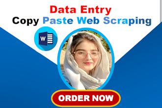 do ms excel data entry, data cleaning, formatting, ms word typing