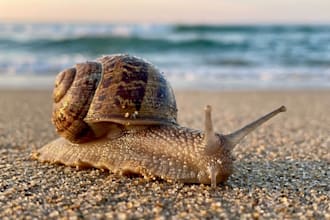 create premium on demand ai stock photography using ai