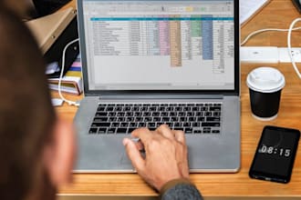 do data entry work, data cleaning, convert to PDF in excel
