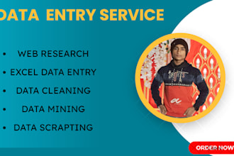 data entry, internet research and data analysis