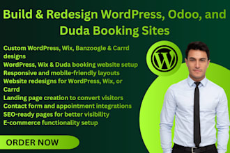 design a professional bandzoogle, wordpress, or carrd music website