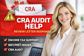 help respond to cra review audit letter tax issues, income tax, vat