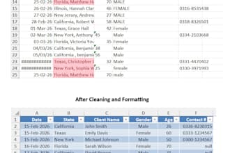 clean, format, merge, split and organize excel data