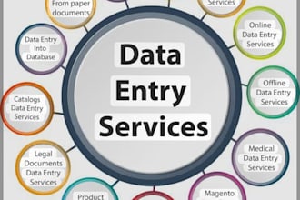 design a professional data entry