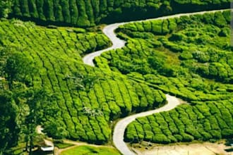 do flight ticket booking ,resort booking ,cab booking