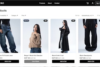 create a professional fashion or clothing online store