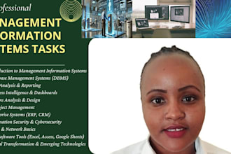 be your mis and IT systems expert