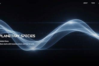 design your website and complete visual branding