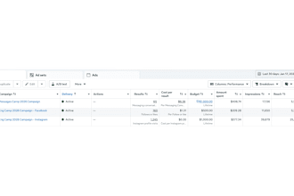 setup and manage meta ads to get you leads and messages