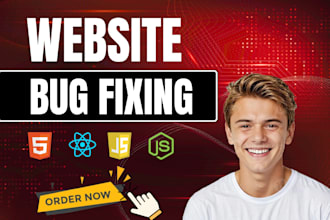develop, design, rebuild, redesign, or fix websites and web applications