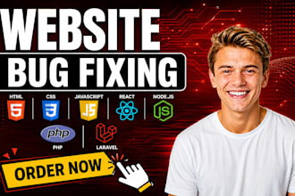 develop, design, rebuild, redesign, or fix websites and web applications