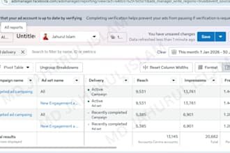 do high converting facebook ads setup and management