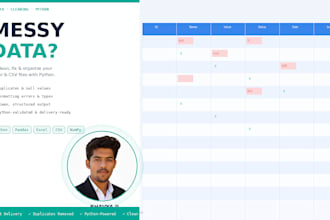 clean, format, and organize your messy excel or csv data