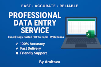 do accurate data entry and excel data typing