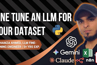 fine tune an llm or build a custom ai model for your dataset