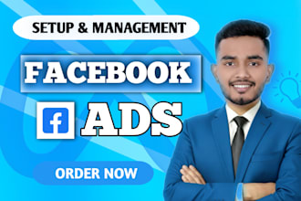 setup facebook and instagram ads for engagement and sales