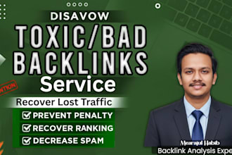 audit and remove toxic backlinks to recover lost google traffic