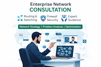 provide enterprise network architecture and security consulting