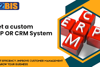 do custom erp and CRM system development