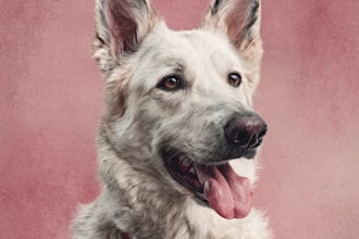 do custom pet portrait, dog portrait, cat portrait