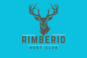 create all kind of unique logo design
