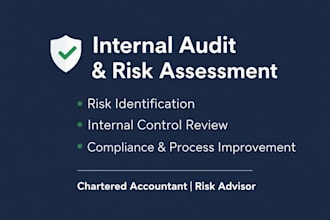 perform internal audit, risk assessment and internal control review
