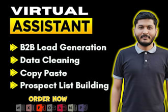 do prospect list building, b2b lead generation, copy paste and data cleaning