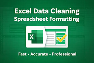 excel data cleaning and spreadsheet formatting