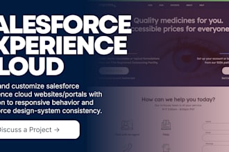 setup and customize salesforce experience cloud website professionally