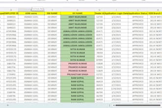 do data analysis, and data entry, data cleaning, excel