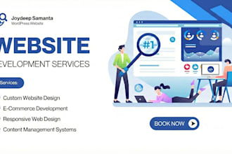 be your professional wordpress developer
