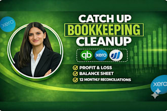 quickbooks clean up, setup, bookkeeping, and reconciliation in quickbooks online