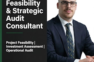 conduct feasibility studies and strategic project audits