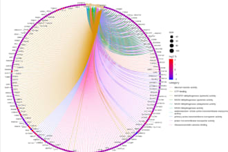do ngs, rna seq, and metagenomics bioinformatics analysis