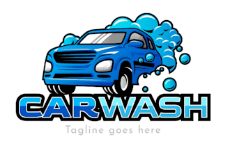reate a unique and professional wash logo design
