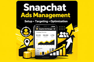 expertly set up and manage your snapchat ads campaign