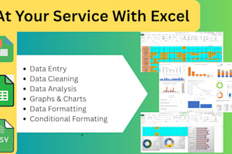 edit, format, analyze, design, insert graphs, charts, data cleaning in ms excel