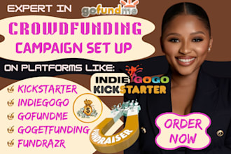 set up high converting crowdfunding campaign on indiegogo kickstarter gofundme