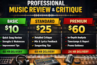professionally review and critique your song with detailed feedback