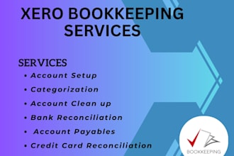 provide full accounting cycle cleanup in xero