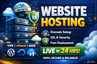 professional website hosting and domain setup