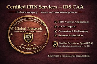 help with US tax filing, itin application, business setup