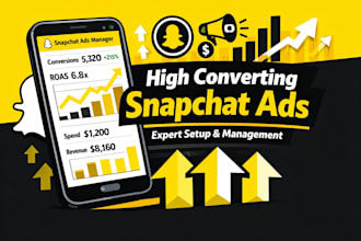expertly set up and manage high converting snapchat ad campaigns