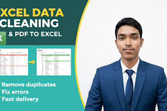 professionally excel data cleaning or formatting