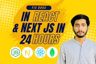 fix react js bugs and next js bug in just 24 hours