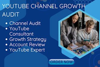provide a professional youtube channel audit and growth strategy